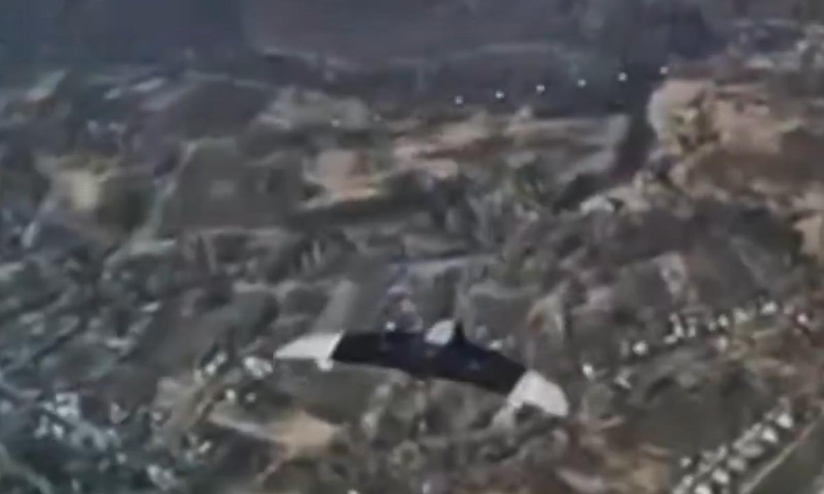 Jų sparčiai daugėja. 100 000 dolerių (Video)