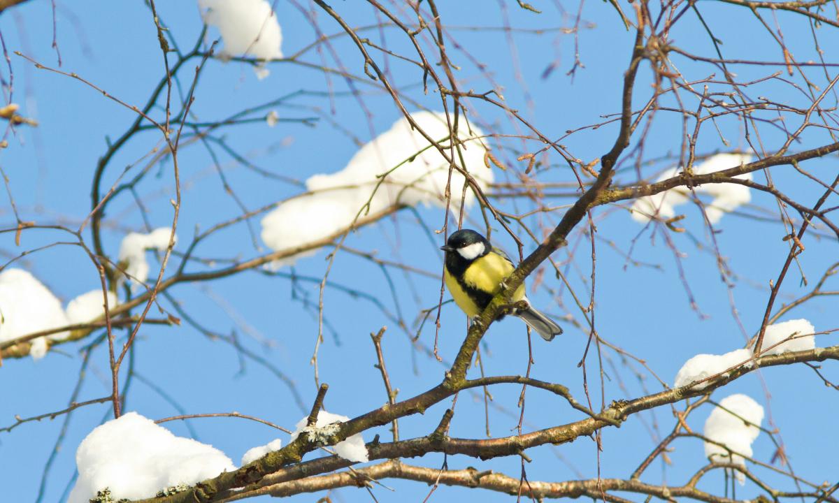 Artėja didžiulis posūkis ore. Sinoptikai to visai nenumatė