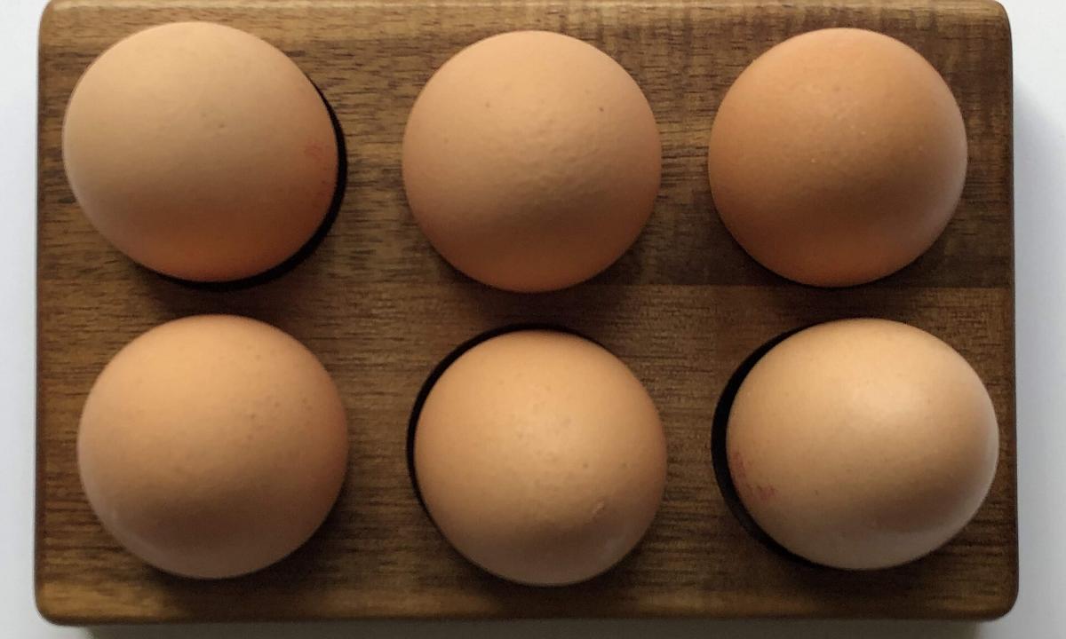 Šokas Velykų rytą: kaimynai pamatę mano kiaušinius neteko žado! Štai, ką reikia daryti