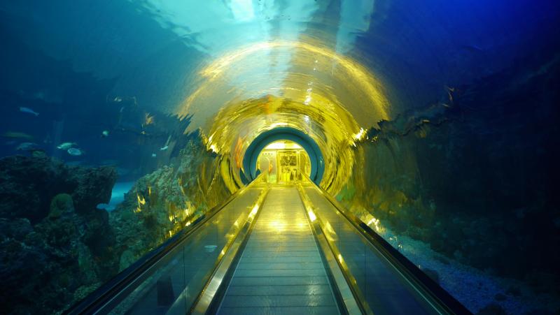 Asociatyvi nuotrauka