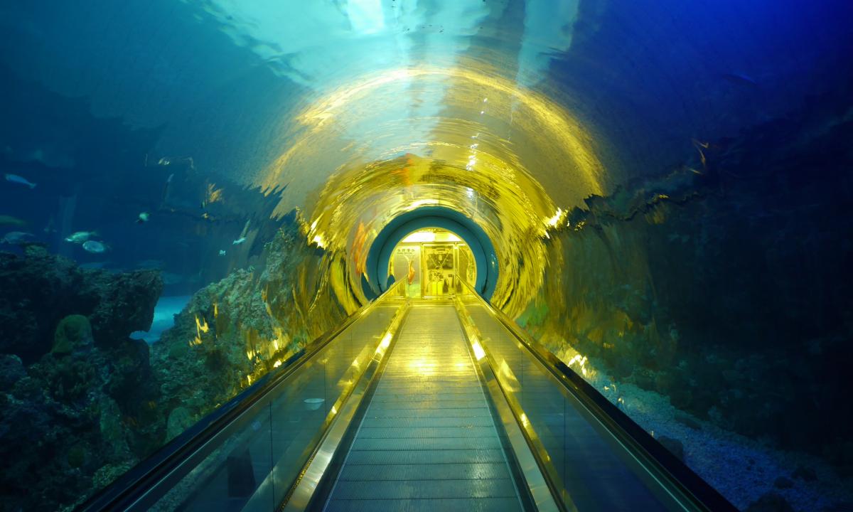 Ilgiausias pasaulyje povandeninis tunelis – sutrumpins kelionę daugiau nei 19 valandų