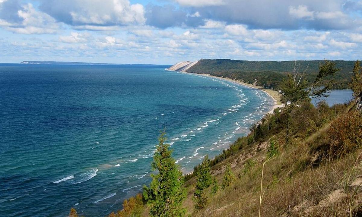 Mirtinas tinklas: Jei pamatysite ŠIĄ formą vandenyje – bėkite kuo toliau! (Foto, Video)