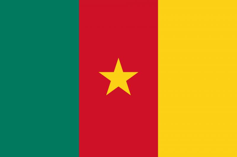 Kamerūno vėliava