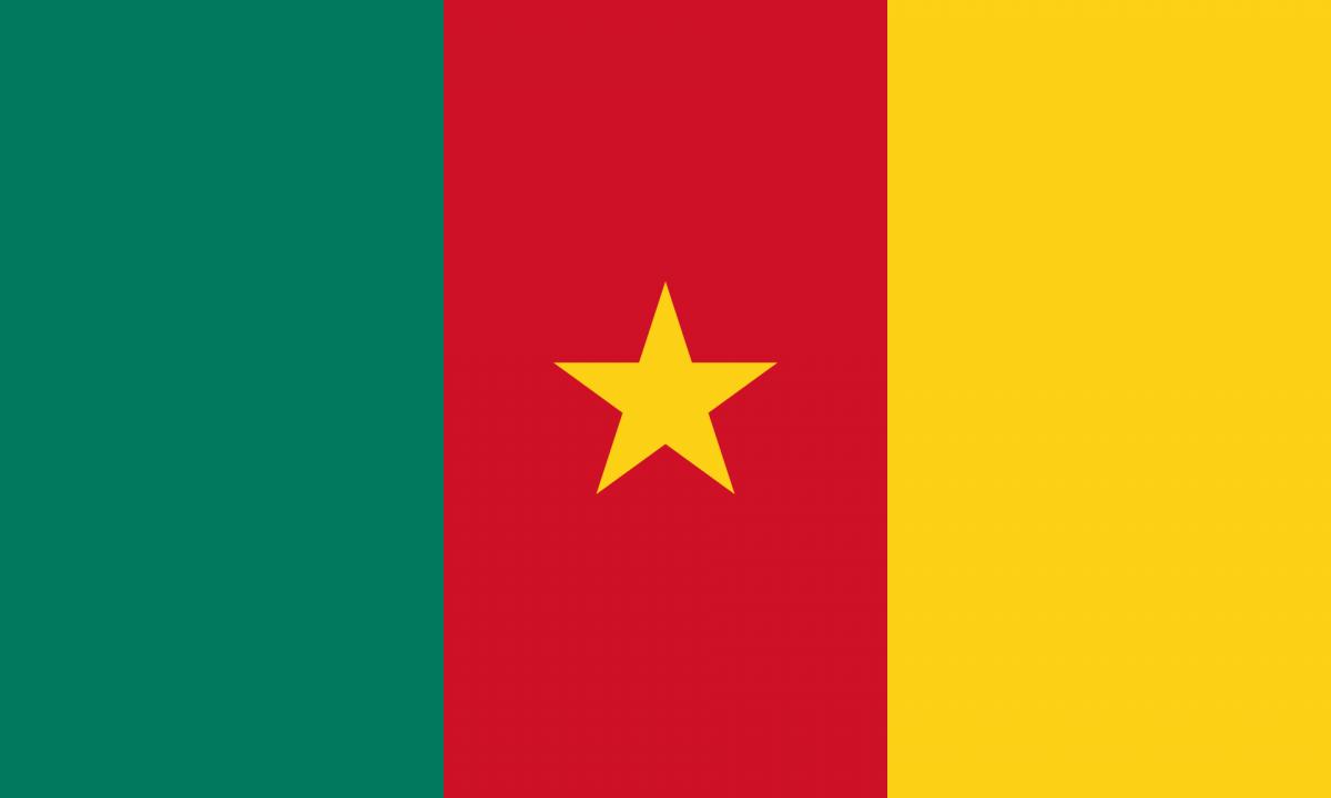 Jie kovojo už Rusiją ir žuvo. Šalis tai pirmą kartą atvirai pripažino