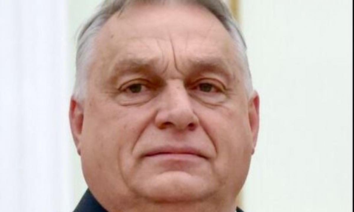 Orbanas siunčia kariuomenę: Vengrijos kantrybė išseko, į pagalbą telkiama brutali jėga 