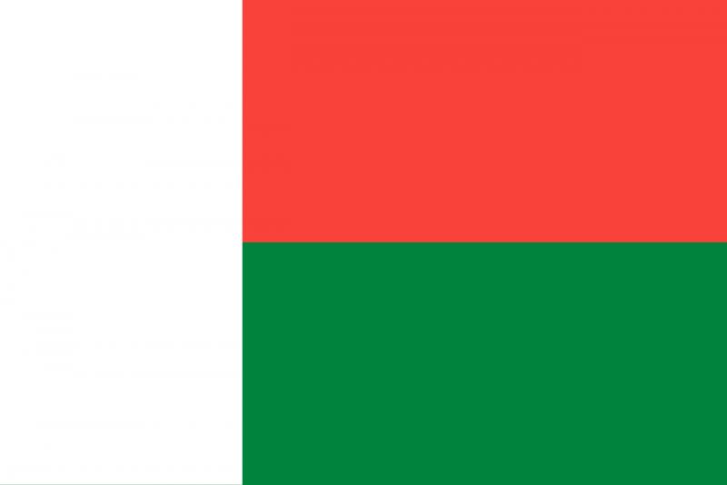 Madagaskaro vėliava