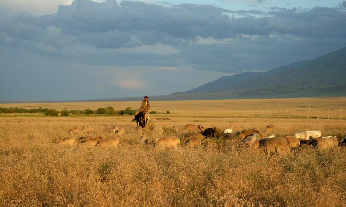 Atrastas didžiulis naftos ir dujų telkinys. Palyginta su milžinu