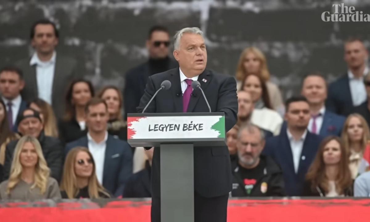 „Įprasta“ praktika: Štai kodėl jis sutiko tapti „pele“