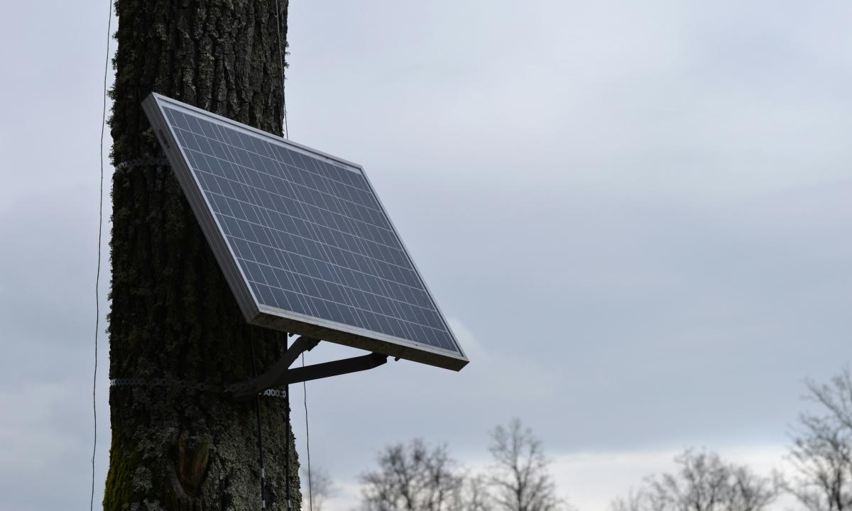 Naujas hitas Europoje: pirk, kabink, junk ir taupyk