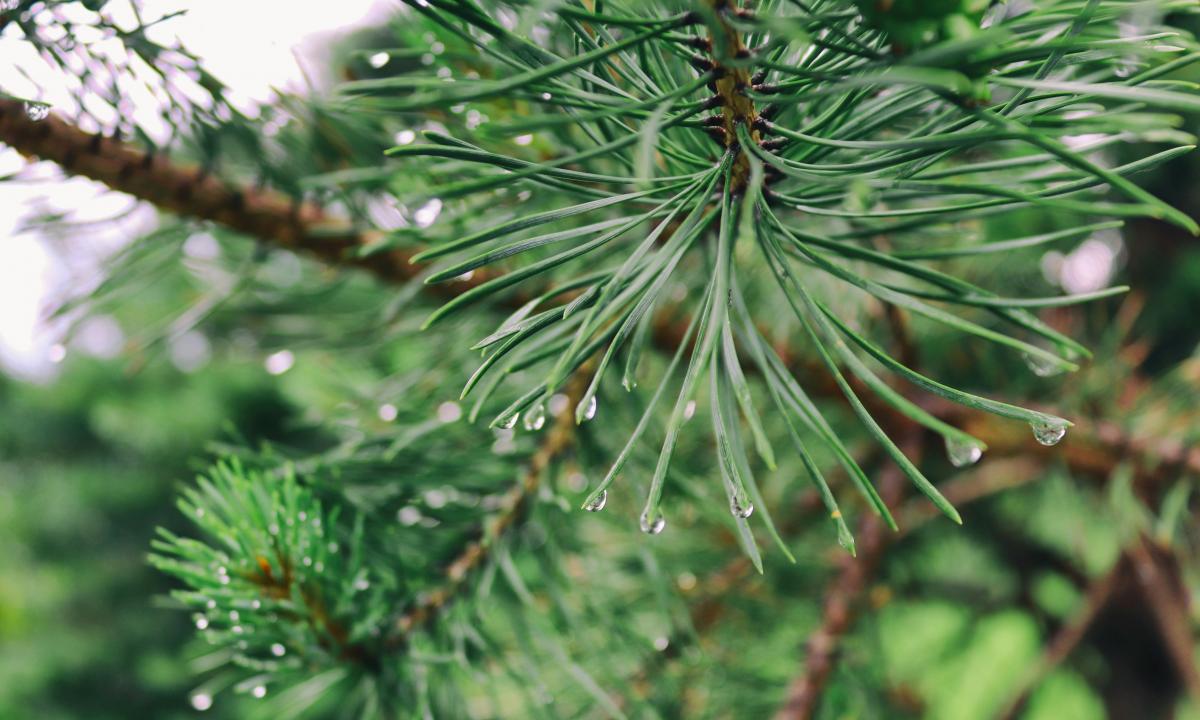 Atlantas paruošė siurprizą. Nebeatšauksi. Ruoškitės