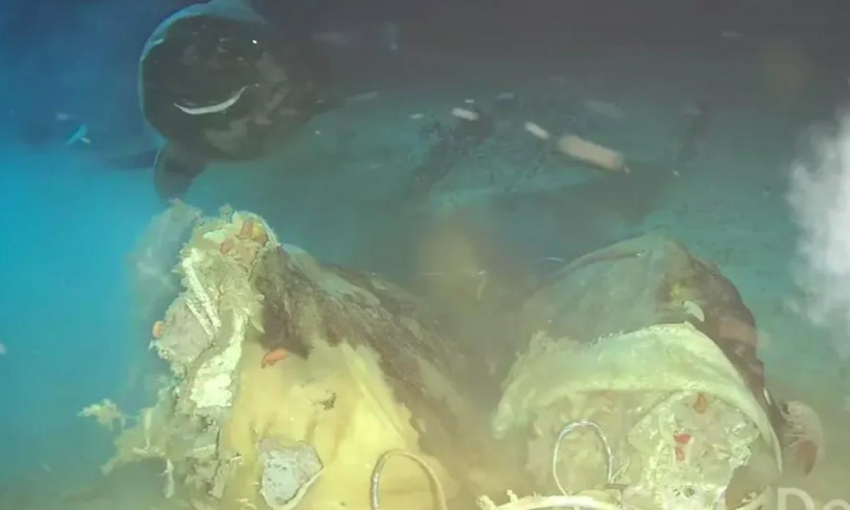 Karvės lavonas, įmestas į jūrą, netyčia iškviečia „miegančius monstrus“ (VIDEO)