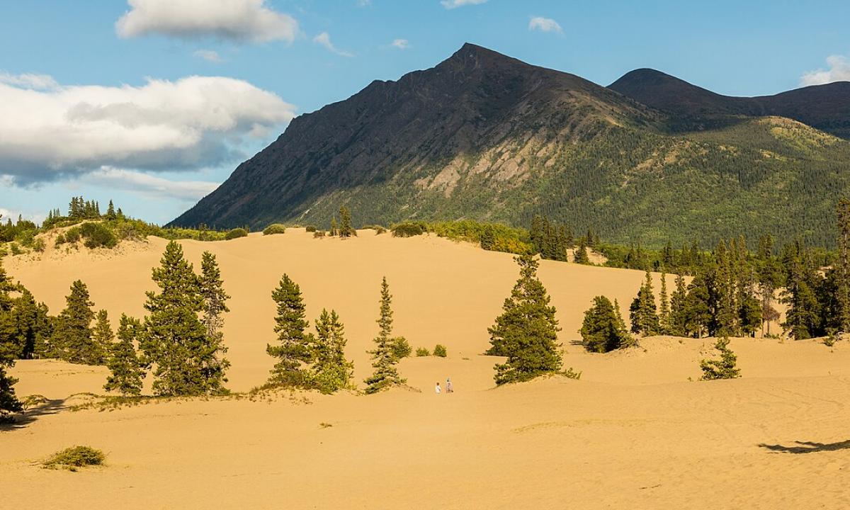 Kokia yra mažiausia dykuma pasaulyje? Ir kas su ja negerai? (VIDEO)