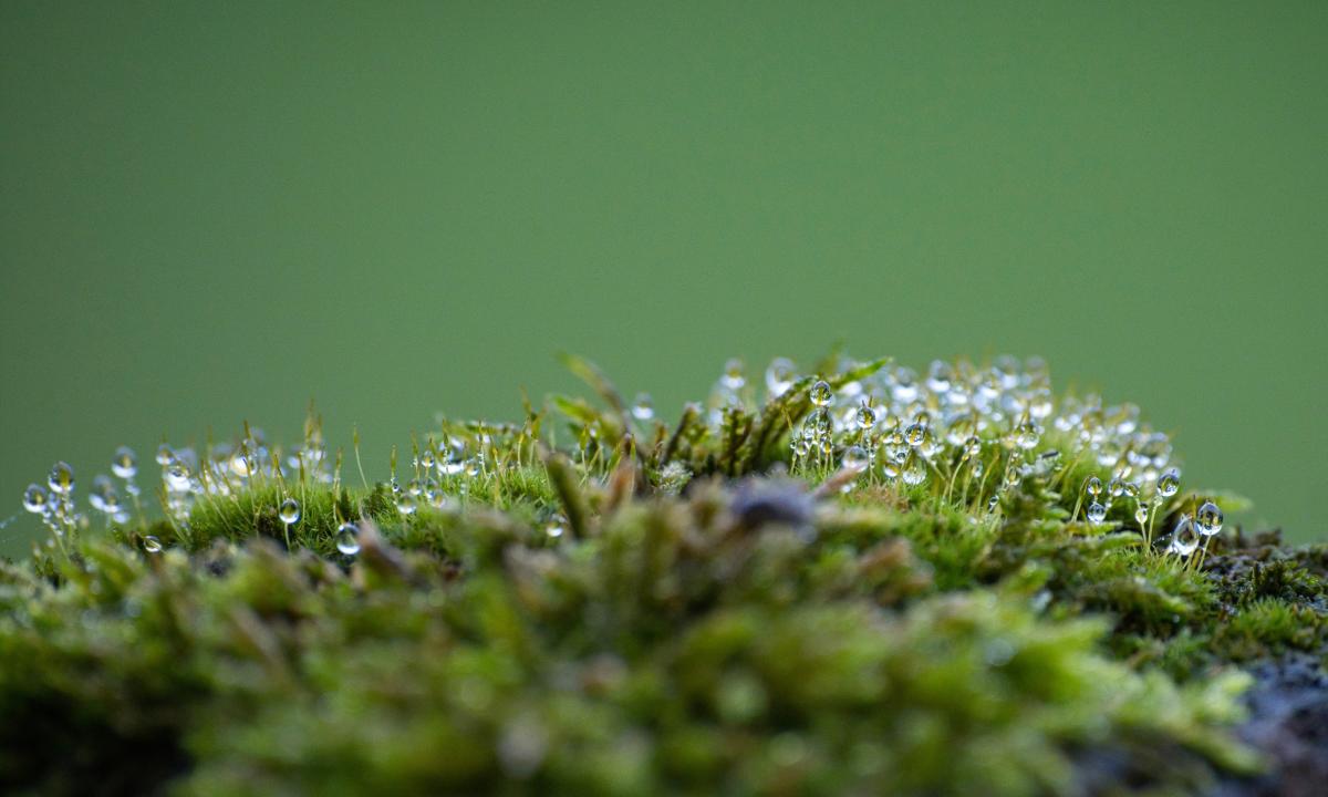 Sinoptikai drastiškai pakeitė prognozę: štai kokį siurprizą mums ruošia paskutinis pavasario mėnuo