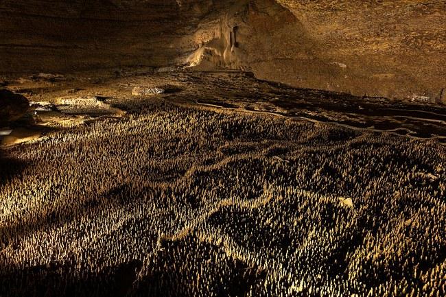 100 000 Trabuko urvų kareivių