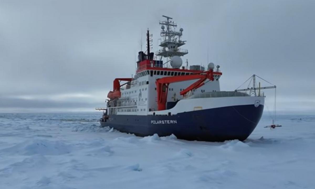 Jie negalėjo patikėti savo akimis: pasaulį supurtė didelis atradimas (Foto)