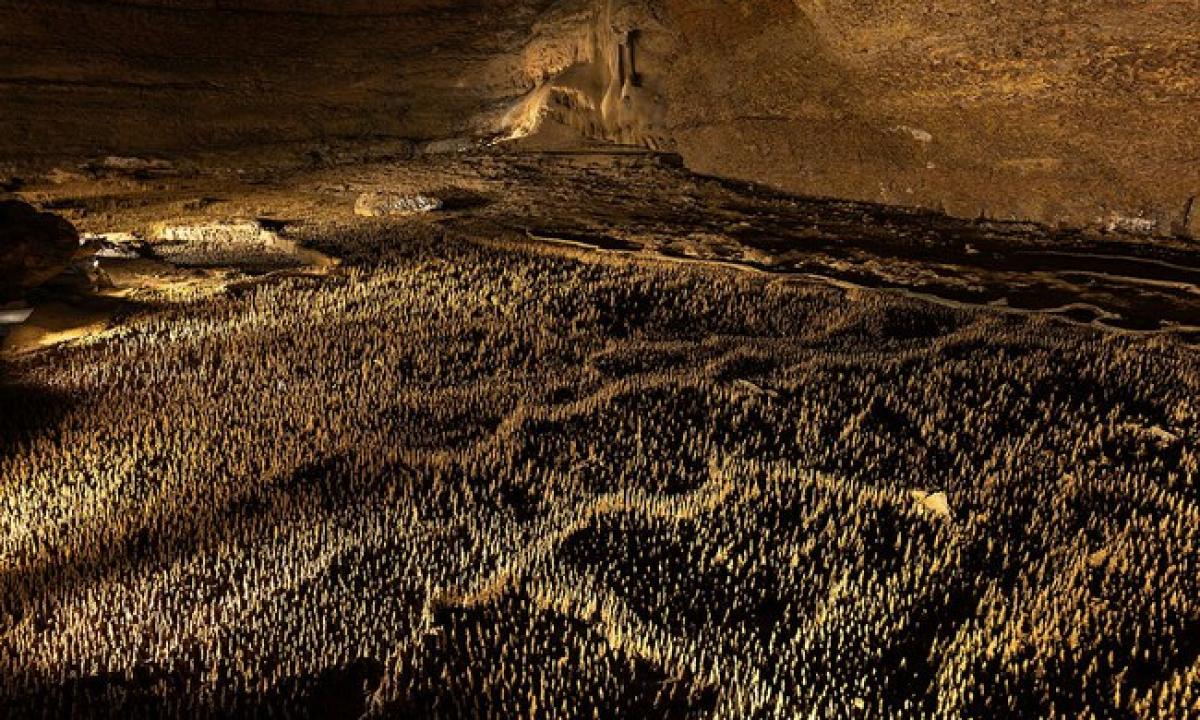 Paslaptingiausia pasaulio kariuomenė. Pietų Prancūzijos urvuose slepiasi „100 000 karių“ (Video)