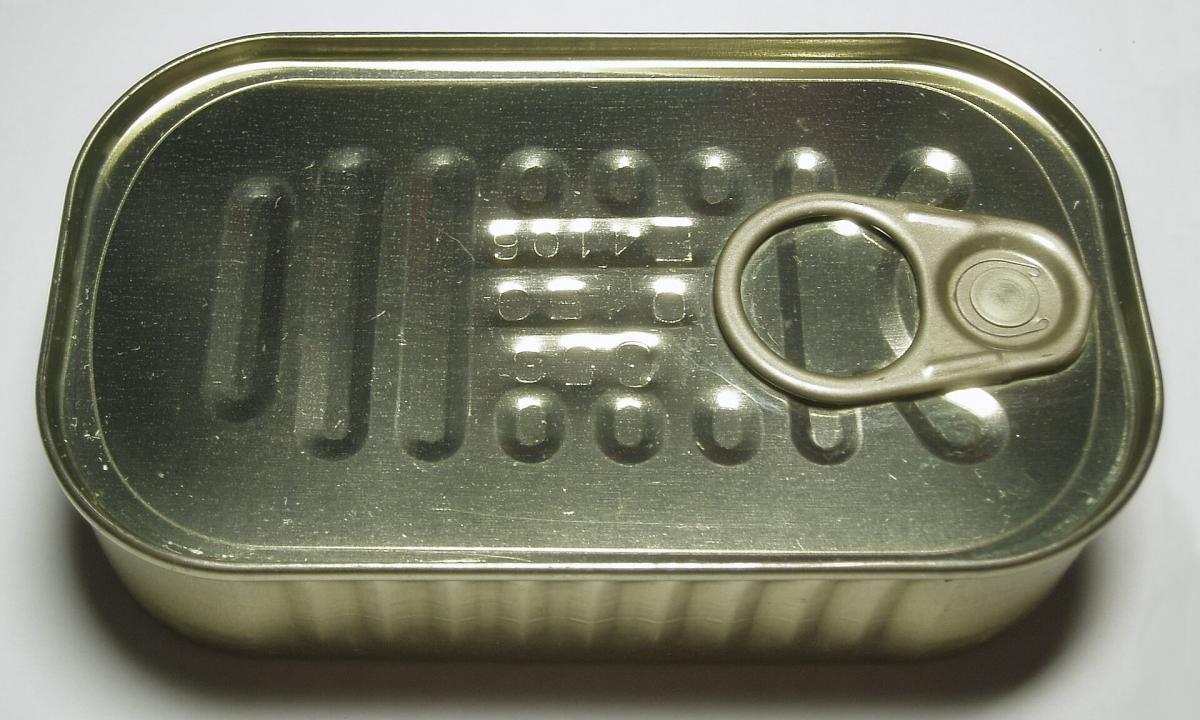 Nepakeičiamas „auksas“ širdžiai ir smegenims: šią konservuotą žuvį daugelis nuvertina, o ji – pigus ir efektyvus „biohakingo“ įrankis