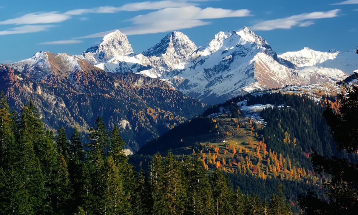 „Nežygiuokite nuogas Šveicarijoje“: kodėl jis rekomenduoja tapti „nematomais“?