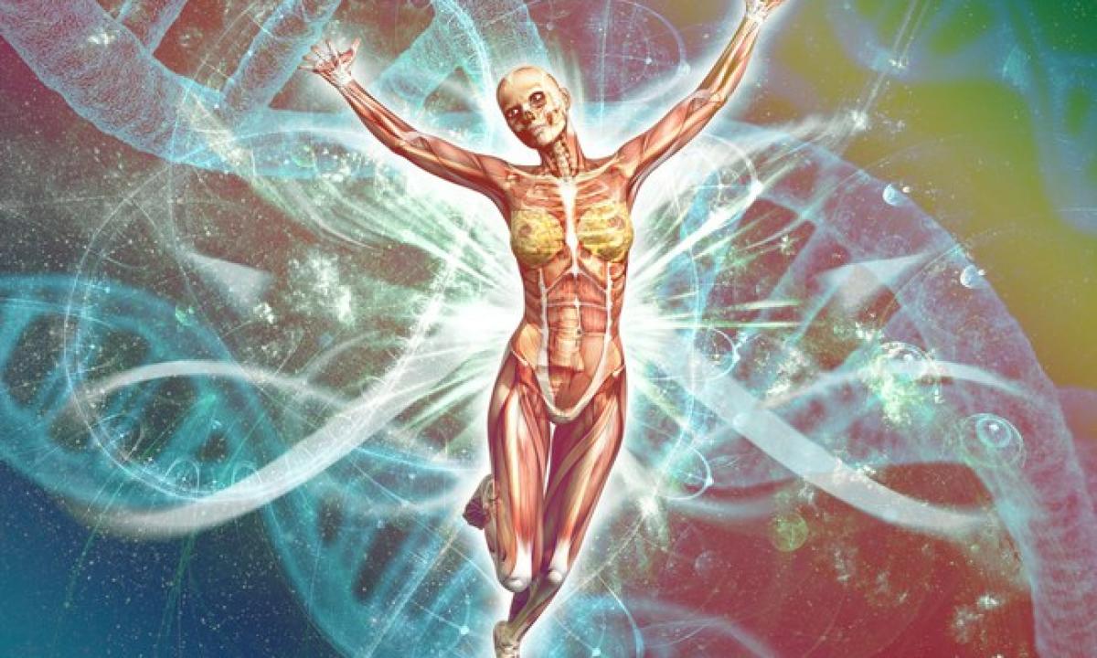 Kokie organai yra sunkiausi žmogaus kūne? Atsakymas nustebins – tai tikrai ne smegenys