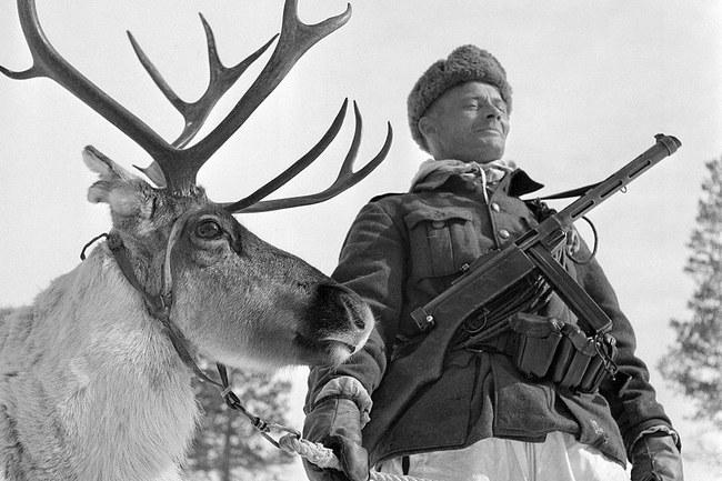 Suomių karys su šiauriniu elniu, 1944 m.