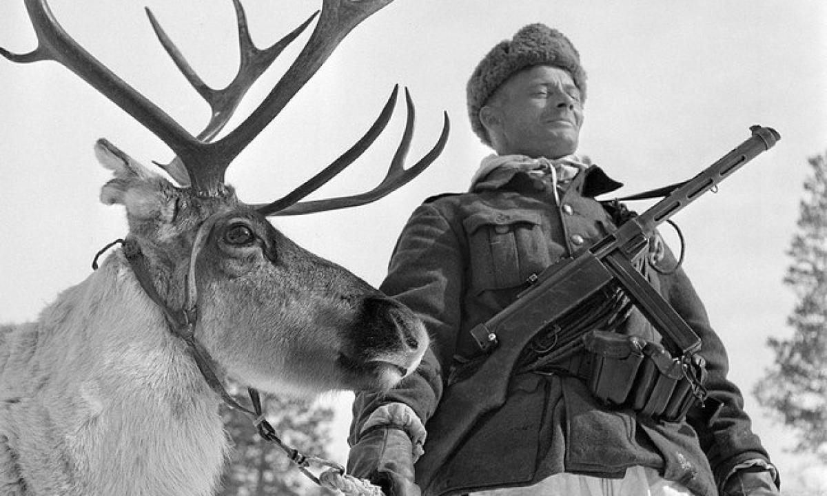 Karys suvartojo 30 kartų didesnę metamfetamino dozę: beprotiška, ką jis padarė (Foto, Video)