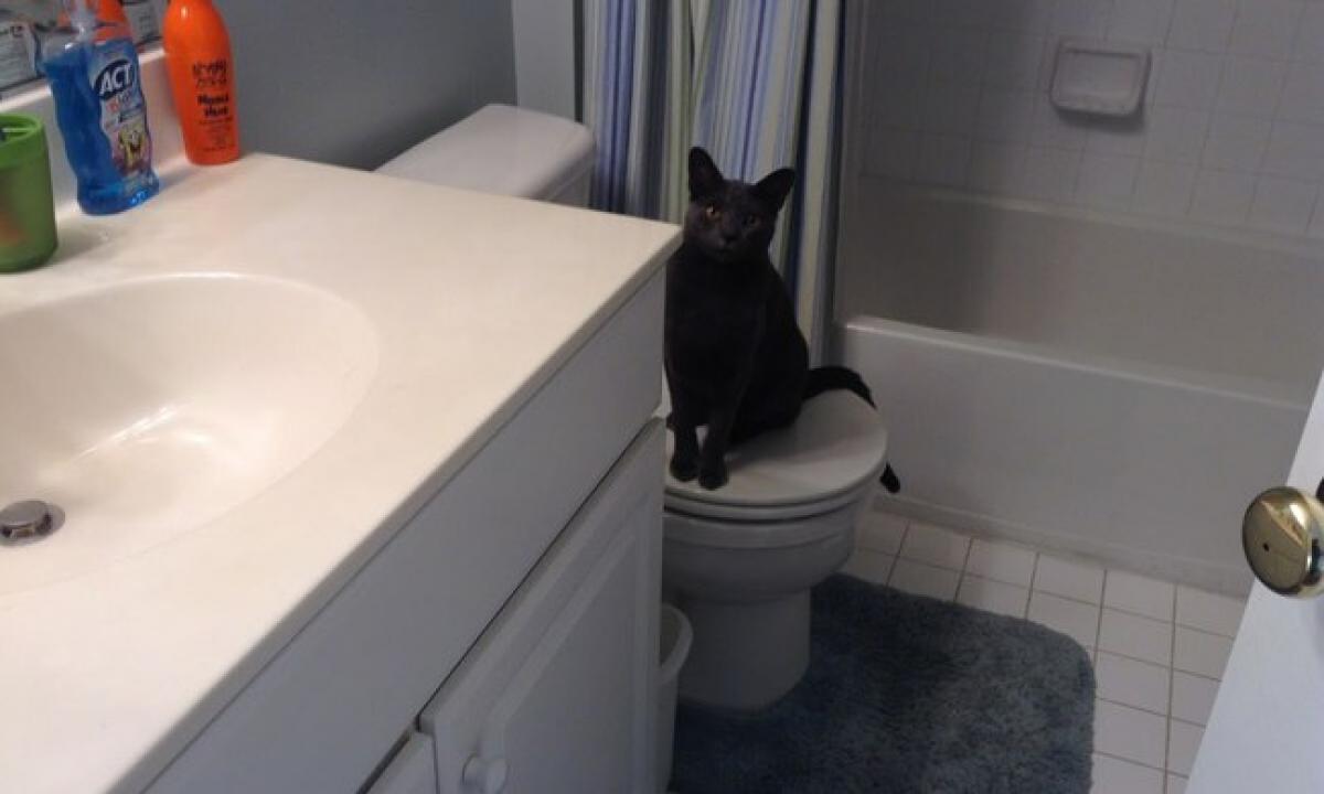 Gydytojai primygtinai ragina. „Ne ilgiau nei 5-10 minučių“