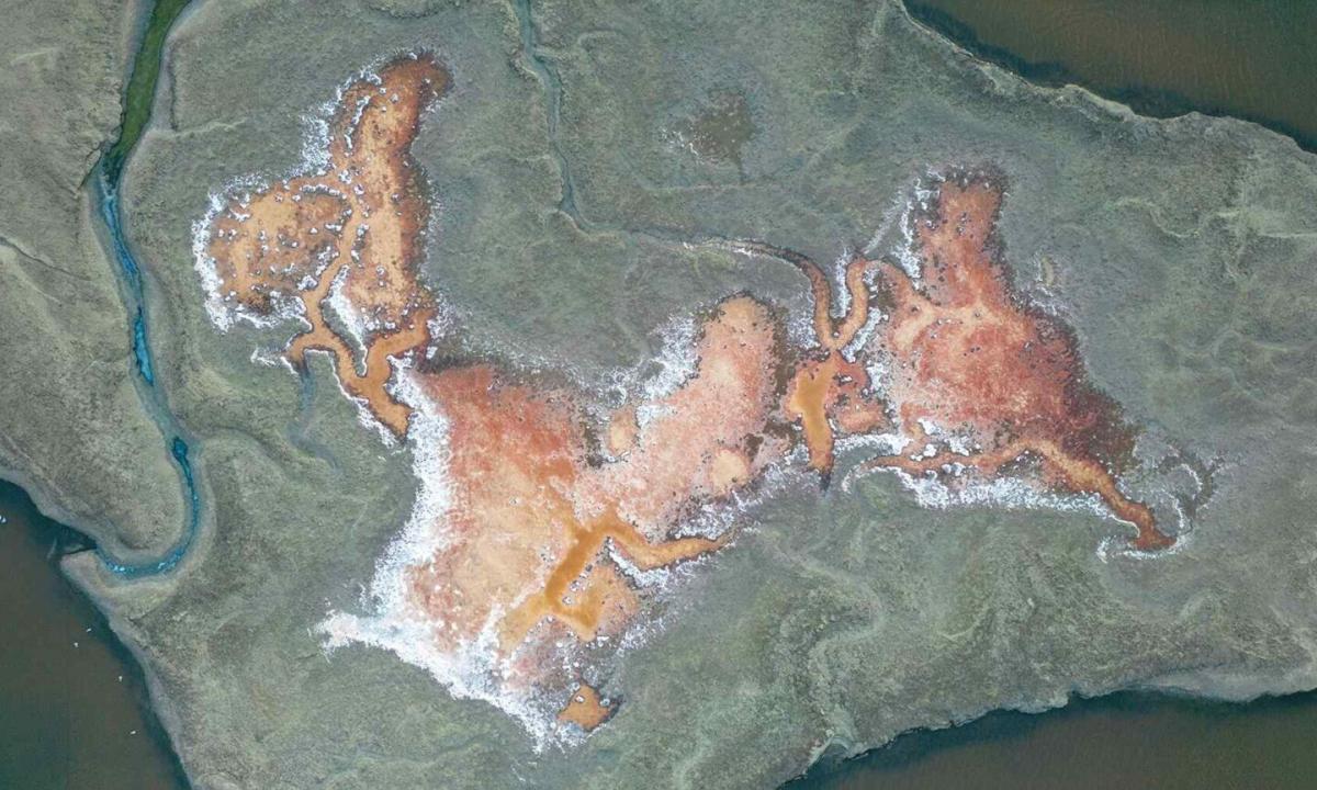 Jie rado tai, kas pakeis žmonijos istoriją: Po mūsų kojomis slepiasi 45 vandenynų energija