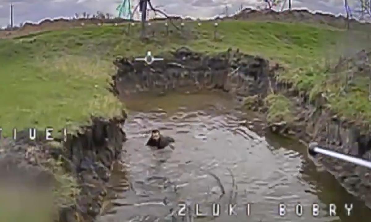 Kas čia slepiasi vandenyje? Ir koks čia vanduo? (Video)