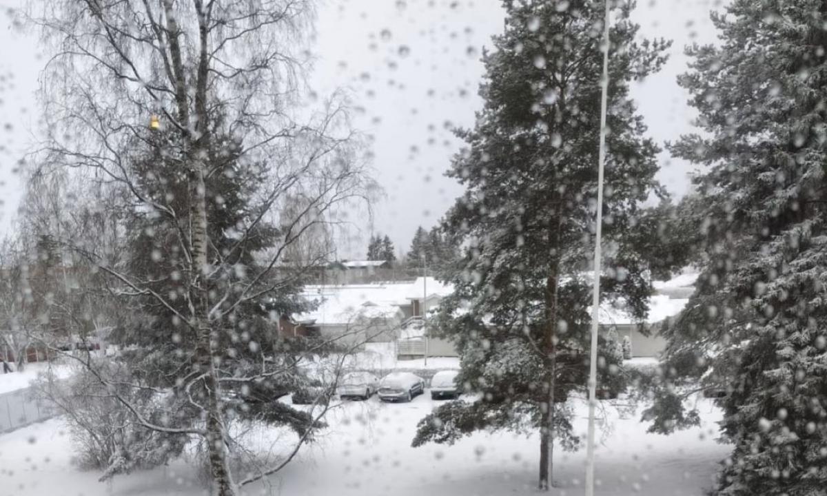 40 cm šviežio sniego: štai tau ir gegužės laukimas (Žemėlapis)