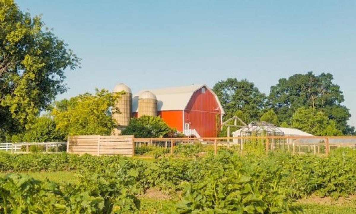 Pavasario laukuose ne tik sėja: kodėl ūkių apsauga tampa būtinybe