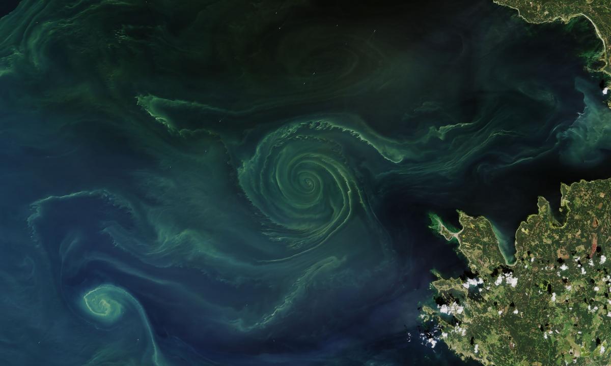 Nerimą keliantis reiškinys Baltijos jūroje. Netoli Lietuvos. Žalia spiralė (FOTO)