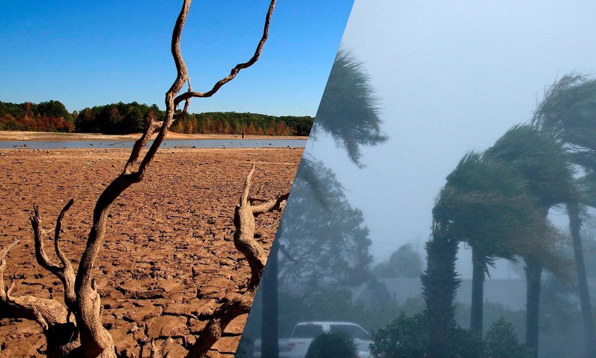 Ramiojo vandenyno „pabaisa“ labai greitai pabus: orai keisis beveik visur Žemėje