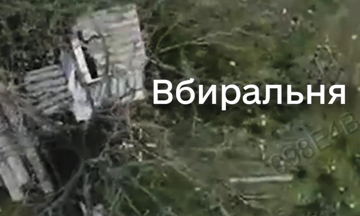 Rusas ir čia ramybės nerado. Namuose galima ši... (Video)