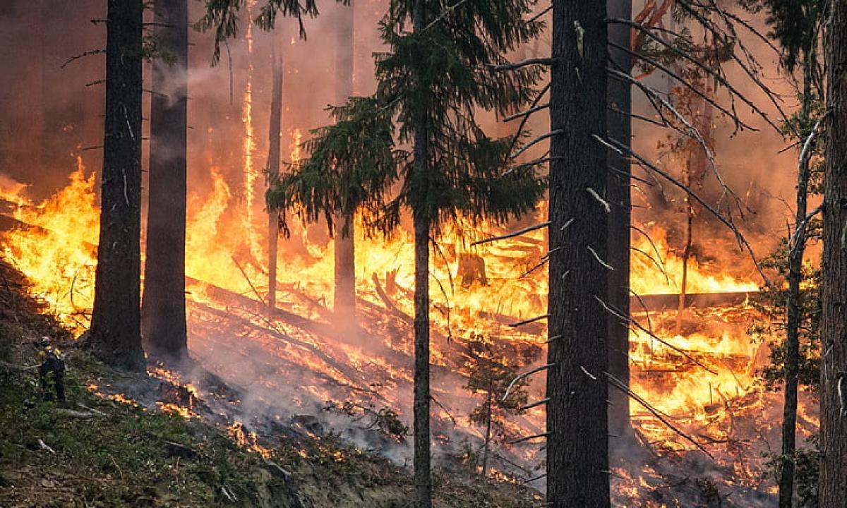 Tokio orų reiškinio nebuvo daugelį metų. Laukia dar vienas šokas?