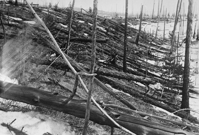 Tunguskos įvykio vieta, užfiksuota 1929 m. (Nuotrauka publikuota 1931 m.)