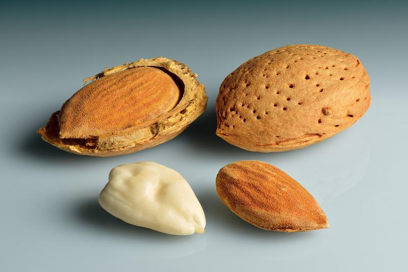 Migdolas