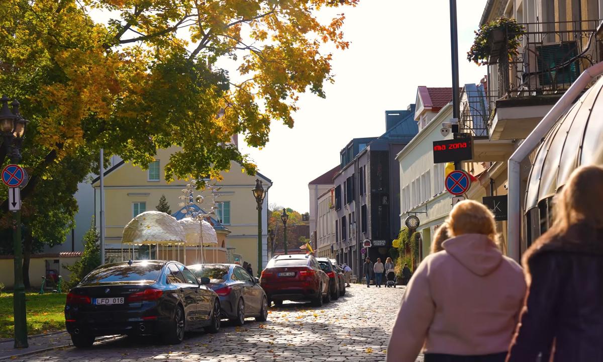 Poreikis augo 18 %, kaina – 108 %: kas supurtė Lietuvą?
