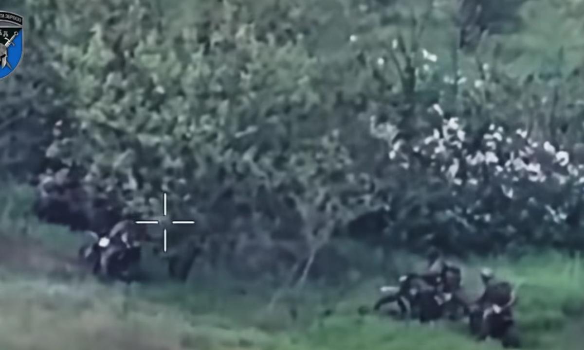 „Orai pablogėjo – priešas „tapo drąsesnis“. Mūšio rezultatas: „6–200“ (Video)