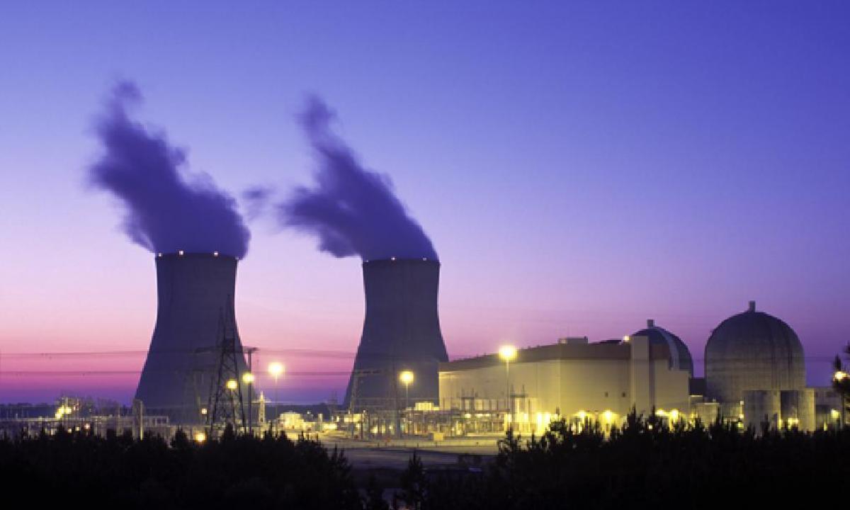 Monstras po atomine? Darbuotojai rado 40 milijonų metų slėptą padarą!