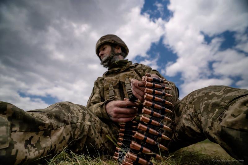 Ukrainos karys
