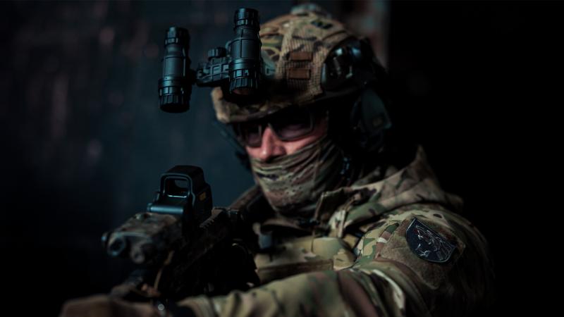 Ukrainos karys