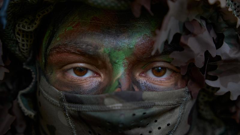 Ukrainos karys