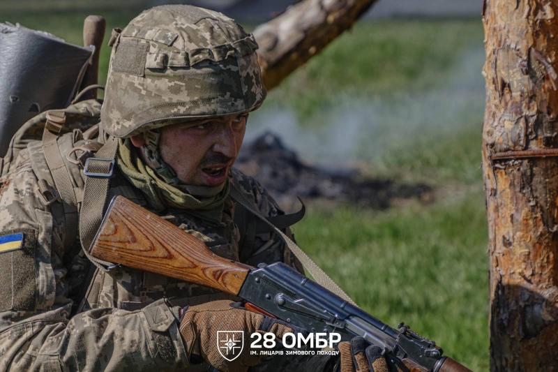 Ukrainos karys