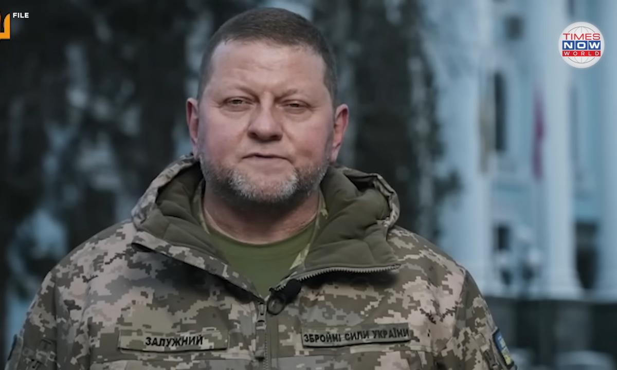 Krymas vėl pasiekiamas? Ką žino Zalužnas
