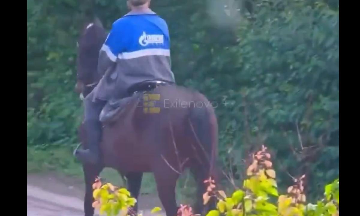 Į darbą ant arklio. Rusų padėtis turi tendenciją blogėti (Video)