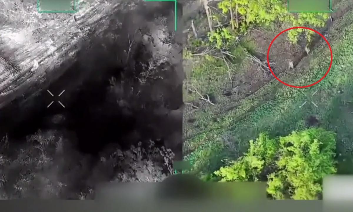 „Paklusniai žygiavo į nelaisvę: jie tiesiog pasidavė“ (Video)
