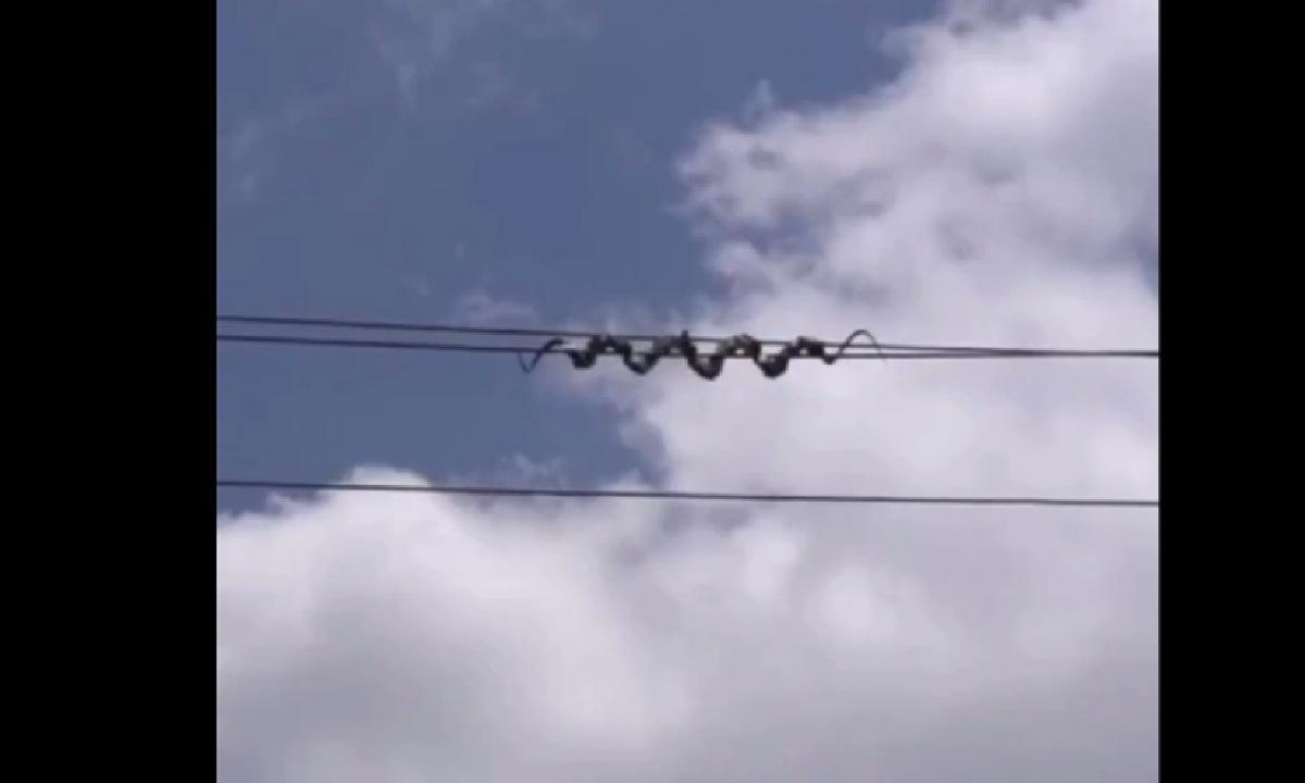 Ant elektros laidų pasirodė paslaptingos „gyvatės“. Ką sugalvojo Kinija? (VIDEO)