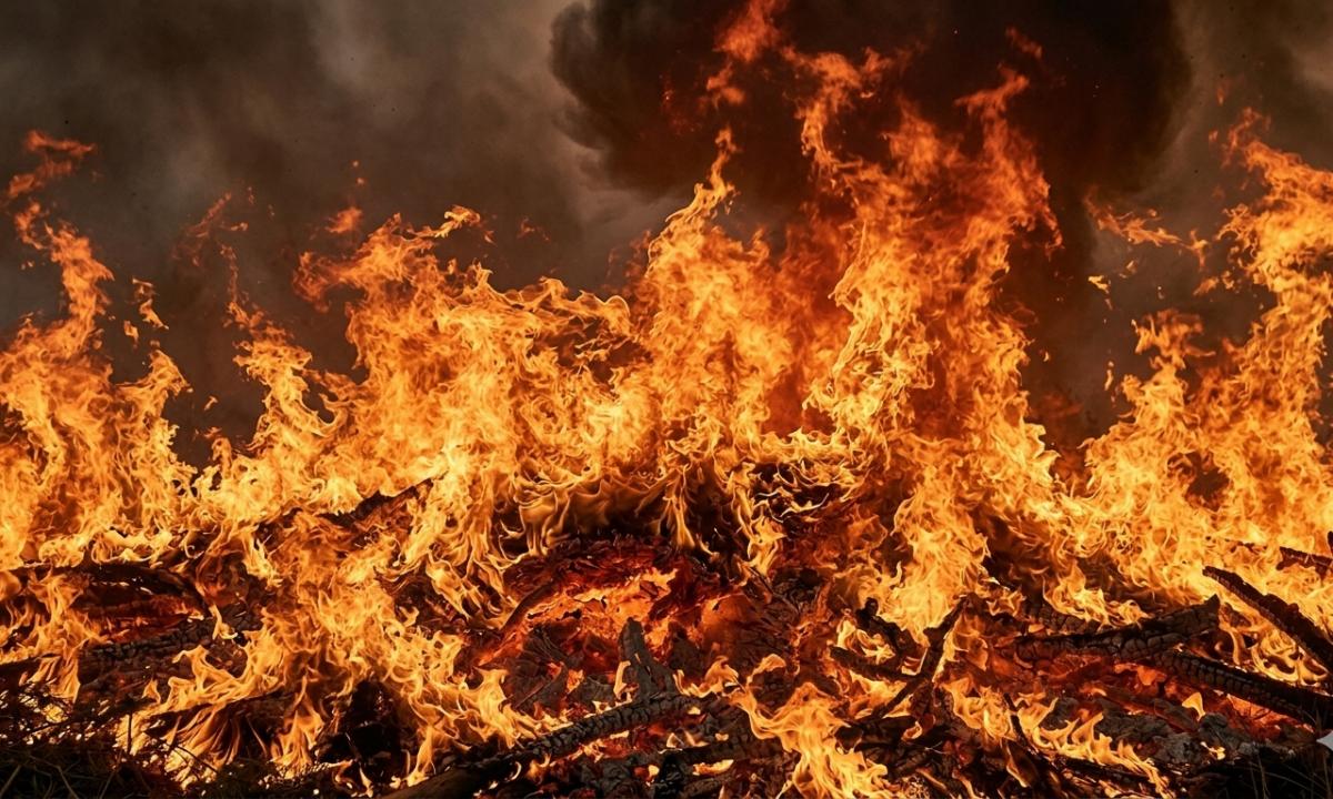 Skelbiama nepaprastoji padėtis: ar Sibiras virsta pelenų krūva? (Video, foto)