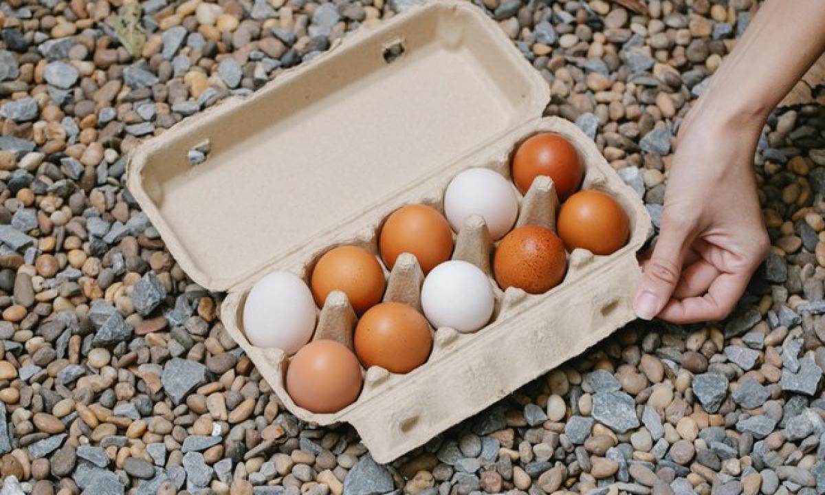 Atidarykite dėžutę ir patikrinkite kiaušinius. Jei tai pastebėsite, jie tinka tik į šiukšlių dėžę