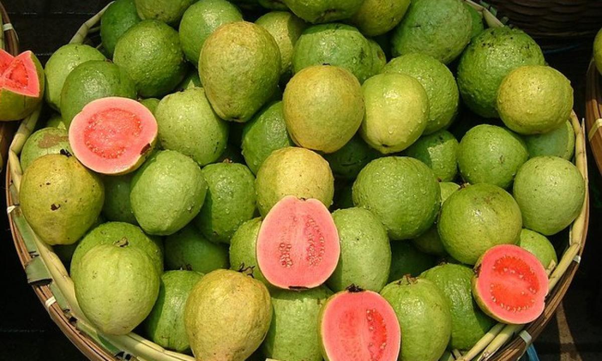 Nei kriaušė, nei obuolys. Apie šį nematytą vaisių daugelis nesate girdėję